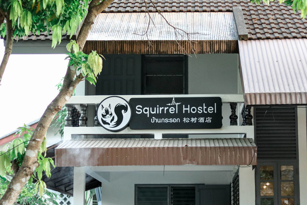 Squirrel Hostel Чиангмай Экстерьер фото